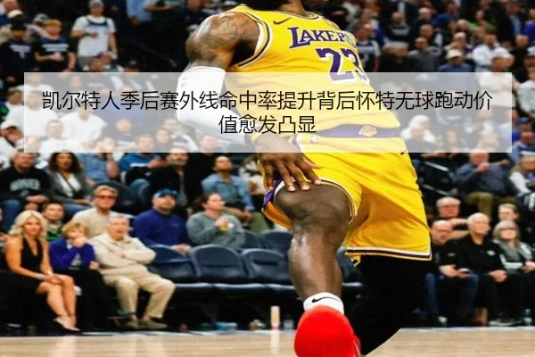 凯尔特人季后赛外线命中率提升背后怀特无球跑动价值愈发凸显